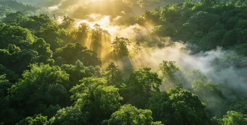 郑州肺癌12基因ctDNA突变检测(血液）图片1